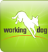 Working-Dog, IGP, brugshund, schæfer,