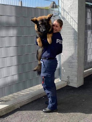 Team Aixa See-You Tjenestehund Færøernes Politi